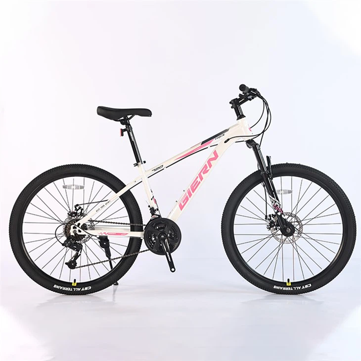 26 Mtb হার্ডটেইল ফ্রেম