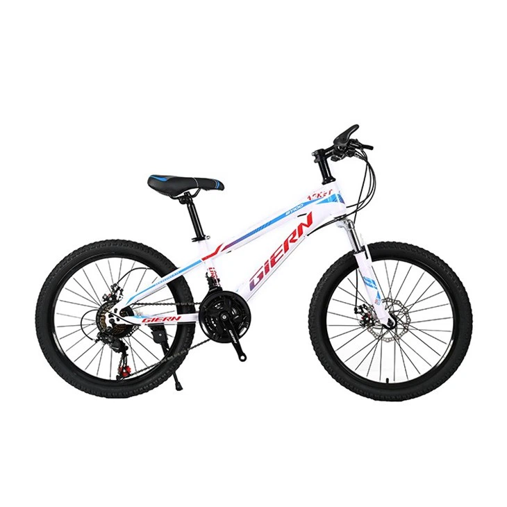 Beginner Hardtail Mountain Bike