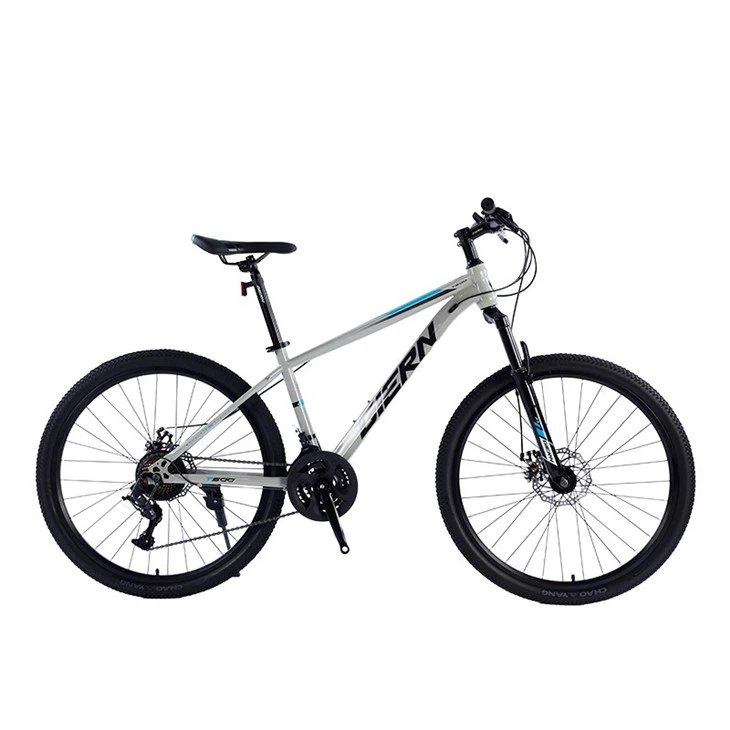 Hardtail Race Bike