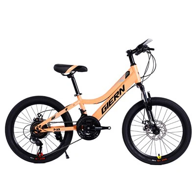 স্টিল হার্ডটেইল ফ্রেম 20 MTB