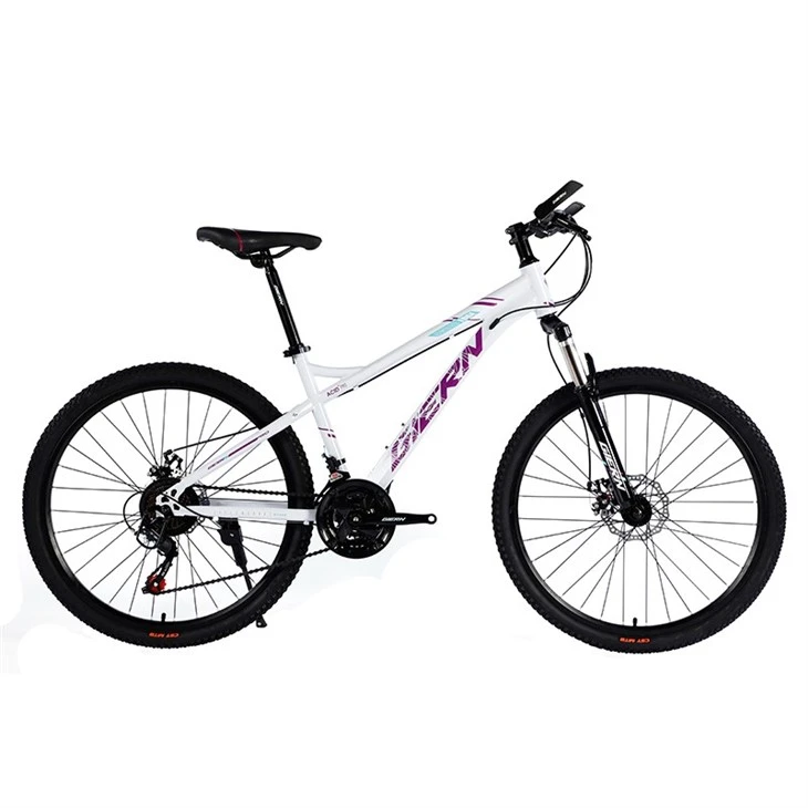 26 Inch Pink Mountain Bike