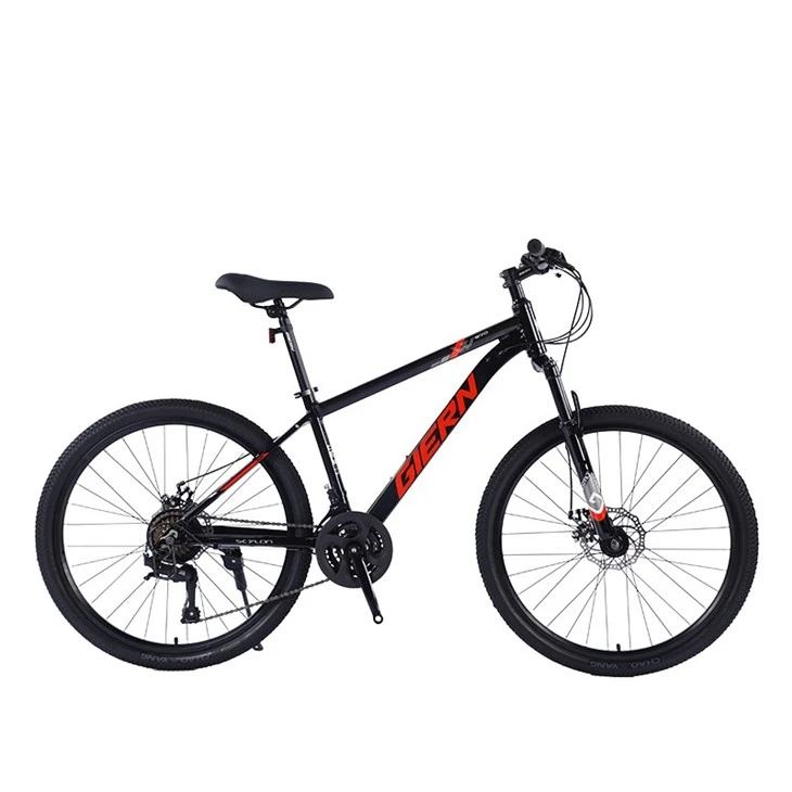Blue Hardtail Mountain Bike