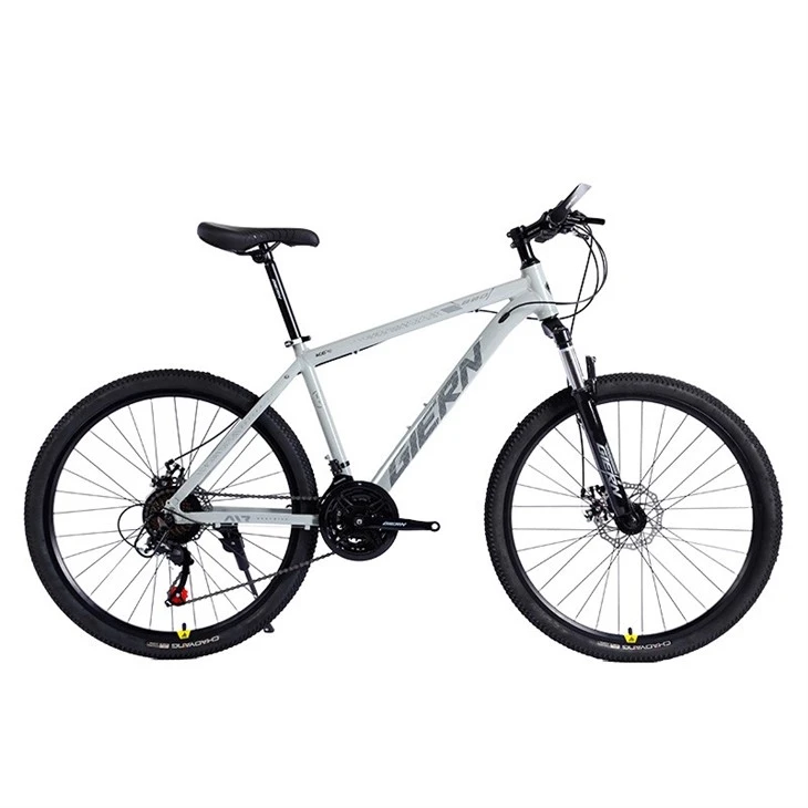 Hardtail Gravel Bike