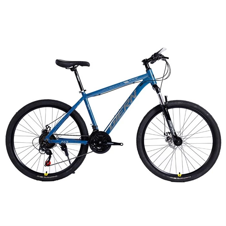 Hardtail Gravel Bike