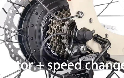 motor motor